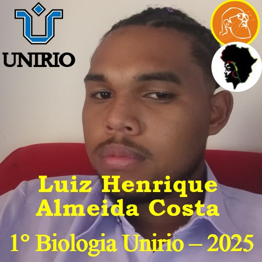 Luiz Henrique Almeida Costa